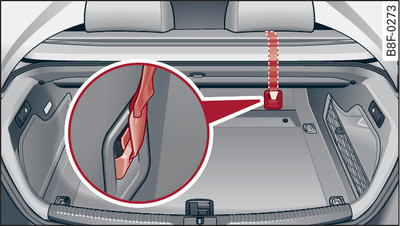 Rear backrest: Top tether anchorages